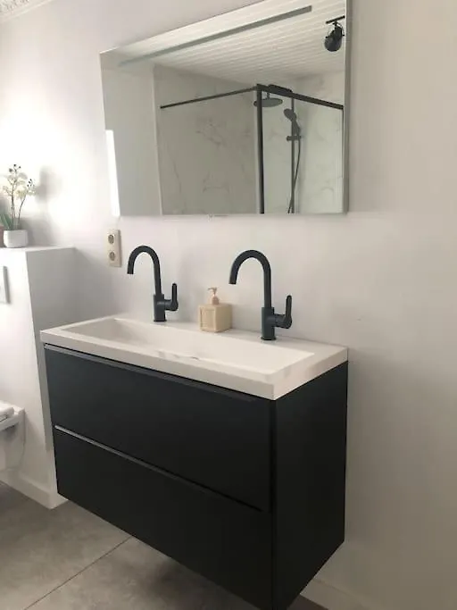 Maison Martha - Sauna En Jacuzzi - 12 Personen Ostend